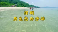 在深圳，又发现了一片原生态白沙滩，自驾直达，可以露营玩水赶海！