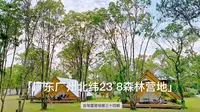 广东广州北纬23°8′森林营地，广州人都知道的户外宝藏营地