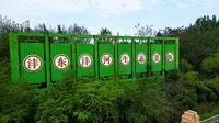 沣东沣河生态景区