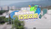 3个重庆自然博物馆必去打卡点！它们亮眼的地方在哪里？