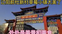 辽阳前杜新村草莓小镇太美了，处处是美景和美食。