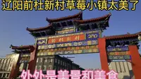 辽阳前杜新村草莓小镇太美了，处处是美景和美食。