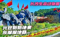 游玩长沙生态动物园，兴致勃勃地去，灰溜溜地回，什么情况？