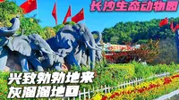 游玩长沙生态动物园，兴致勃勃地去，灰溜溜地回，什么情况？