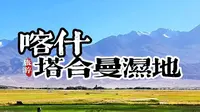 为什么没人告诉我塔合曼湿地这么美？随手一拍都是电脑桌面