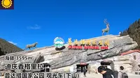 【pov1086/丽4】 云南迪庆香格里拉 国家公园 观光车(属都湖下山) 前方展望