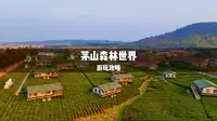 打工人用周末24小时去除班味，第三站茅山森林世界！
