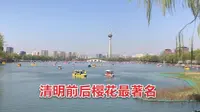 玉渊潭公园的看点是什么？