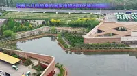 阳春三月航拍秦岭国家植物园鲜花铺地姹紫嫣红开遍