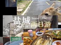 盐城，一个被低估的小众旅游城市｜盐城两日vlog
