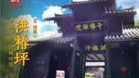 峨眉山 · 洪椿坪 | 千佛禅院，洪椿晓雨