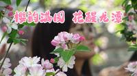 樱韵满园 花醒龙潭 | 第二十三届五龙潭樱花节