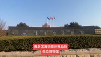 青岛滨海学院世界动物生态博物馆