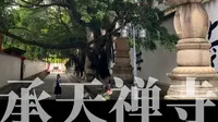 泉州游·承天禅寺