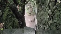 问道青城山，山顶的白云寺真的很灵！！！
