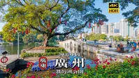 [4K HDR] 感受广州清晨慢时光，漫步荔湾湖畔 | 漫游中国 | 广州 | 云旅行 沉浸式 漫步 旅行 白噪音 CITY WALK Pocket3