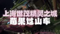 莓果过山车-上海世茂精灵之城