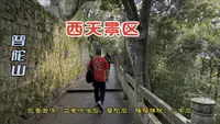 普陀山去爬西天景区，看二龟听法石，磐陀石，心字石太壮观，好多人在滚石牛，场面太血腥啦
