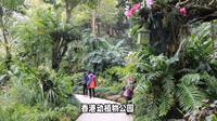 香港动植物公园旅游攻略