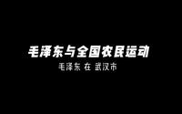 武汉革命博物馆与武汉毛泽东故居