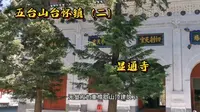 五台山台怀镇—显通寺，五台山最大最古老的寺院，寺内宝贝众多，都堪称国宝