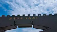 洛阳隋唐遗址植物园的牡丹暴击！！！