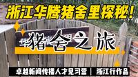 浙江桐乡华腾猪舍里-探秘之旅