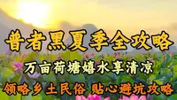普者黑夏季全攻略，万亩荷花 + 打水仗 + 人文民俗 + 避坑指南！#普者黑旅游攻略#普者黑万亩荷塘#普者黑