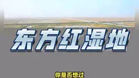中国最东端湿地守护生命奇迹，东方红湿地