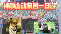 亚洲最大动物园威海神雕山动物园一日游（上集）