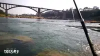 广西来宾红水河水位急剧下降，鱼都不好钓，急浪耍点抗浪鱼（小白条）