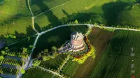 中国茶海-贵州湄潭万亩茶园