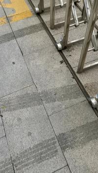 来到了淮安市博物馆，兴奋，准备进去看看有哪些宝贝啦。