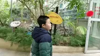 南山植物园的温室奥秘