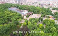 徐州汉文化-汉画像石