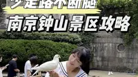 南京钟山风景区旅游线路攻略，你以为钟山风景区只有中山陵吗？美龄宫明孝陵等也很值得去，不看攻略走断腿哦