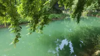 喧鸟覆春洲 徜徉宜昌运河公园 碧波万顷