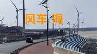 在长江澳看到一片风车海，镜头晃动选了一首合适的音乐。