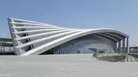 【大施行走】江苏盐城 中国黄海湿地博物馆 都设营造作品 丹鹤展翅 翎羽起舞