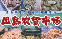 团岛市场攻略|青岛人一早就爱逛的海鲜市场|青岛旅行攻略