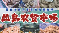 团岛市场攻略|青岛人一早就爱逛的海鲜市场|青岛旅行攻略
