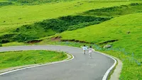 贵州20°的夏天❗️阿西里西草原一日游攻略❗️