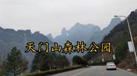 2026年2月3日湖南省张家界市永定区天门山国家森林公园🌲