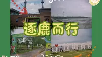 逐鹿而行：盐城大丰 野鹿荡-日出海湾一日游