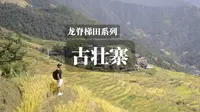 龙脊景区最近的古壮寨，可下梯田间拍摄，少数民族文化氛围浓郁