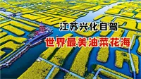 兴化千垛景区，垛田奇观全球闻名，不愧是江苏最奇特的油菜花海