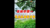 登顶沈家山，俯瞰马龙城区与双河交汇。