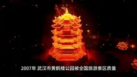 2007年，武汉市黄鹤楼公园被全国旅游景区质量等级评定委员会正式批准为国家AAAAA级旅游景区。2008年9月，武汉市黄鹤楼公园被中华人