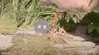 株洲博物馆。等等，你是……