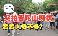 【普陀山景区】实拍普陀山风景区现状，暑期热门旅游目的地，看看这里的人多不多